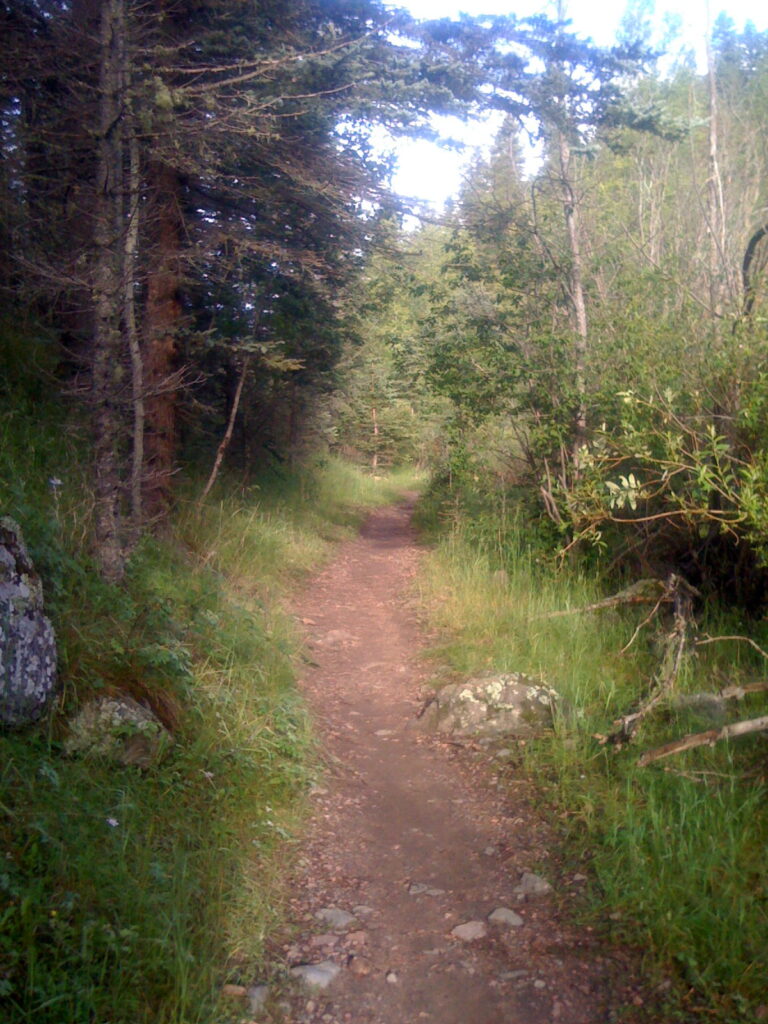 Gehe in ruhiger Natur einen Weg entlang und finde zurück zu dir selbst