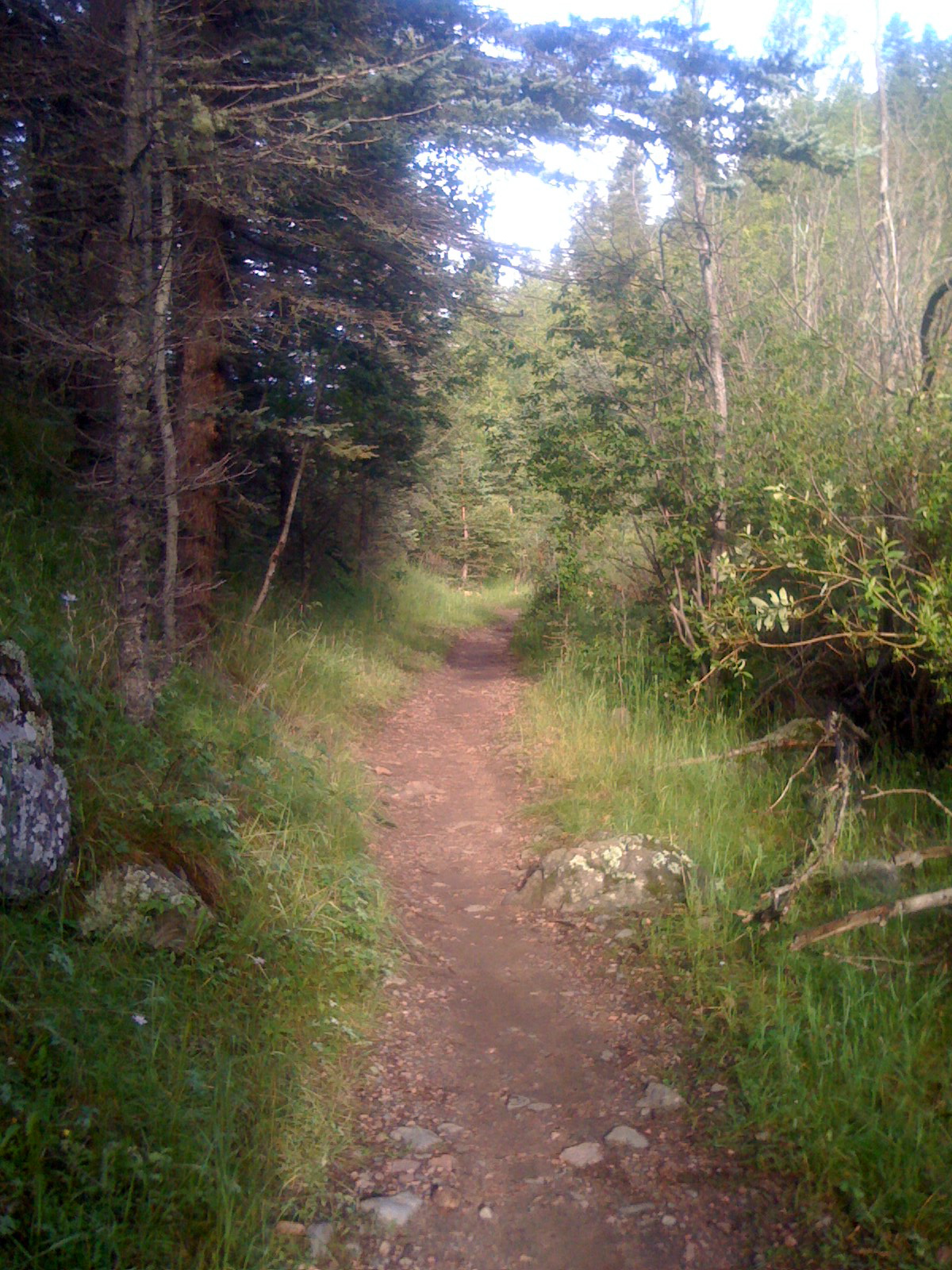 Gehe in ruhiger Natur einen Weg entlang und finde zurück zu dir selbst