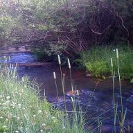 nur noch funktionieren und sich selbst nicht mehr spüren, mit Gudrun Marquardt